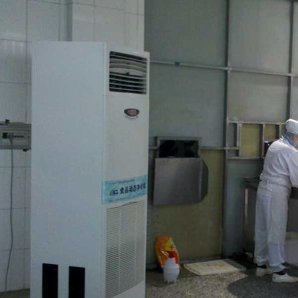 池州食品正负离子空气杀菌器